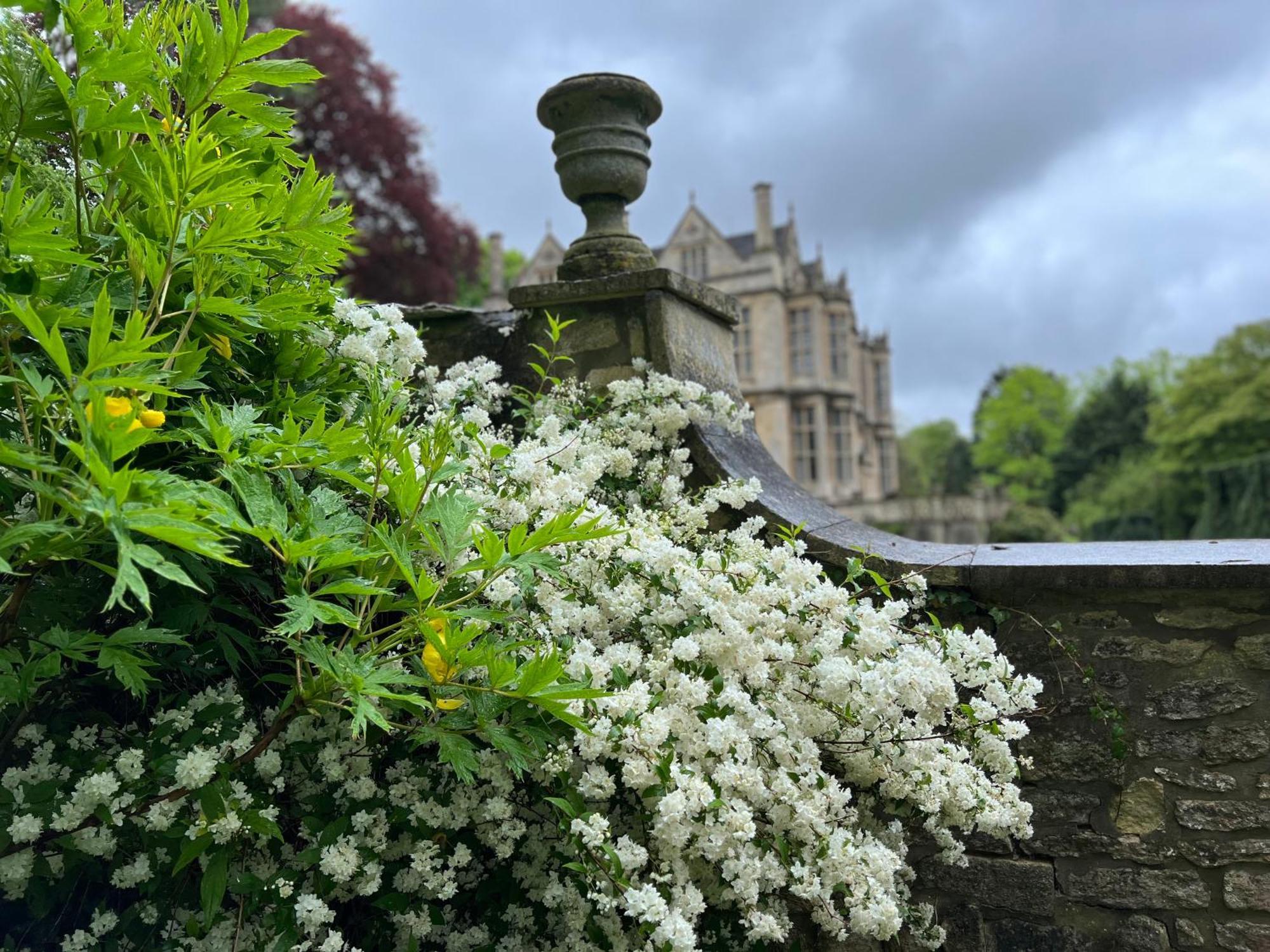 The Hall - Historic Grade I-Listed Jacobean Mansion Bradford-On-Avon ภายนอก รูปภาพ