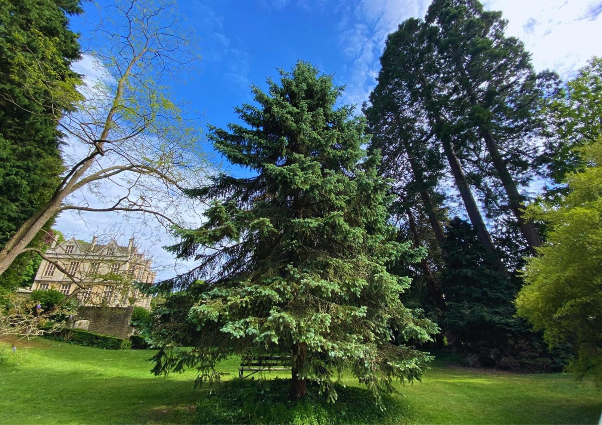 The Hall - Historic Grade I-Listed Jacobean Mansion Bradford-On-Avon ภายนอก รูปภาพ